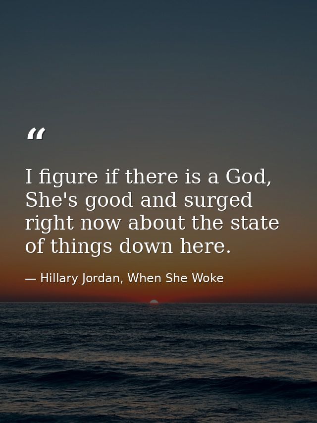 I figure if there is a God, She's good and surged right now about the state of things down here. — Hillary Jordan, When She Woke