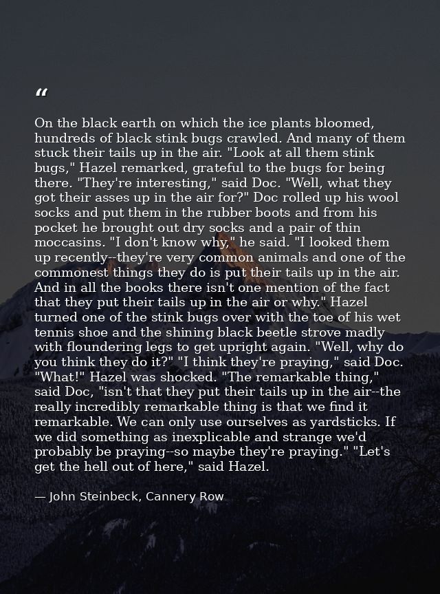 On the black earth on which the ice plants bloomed, hundreds of black stink bugs crawled. And many of them stuck their t — John Steinbeck, Cannery Row