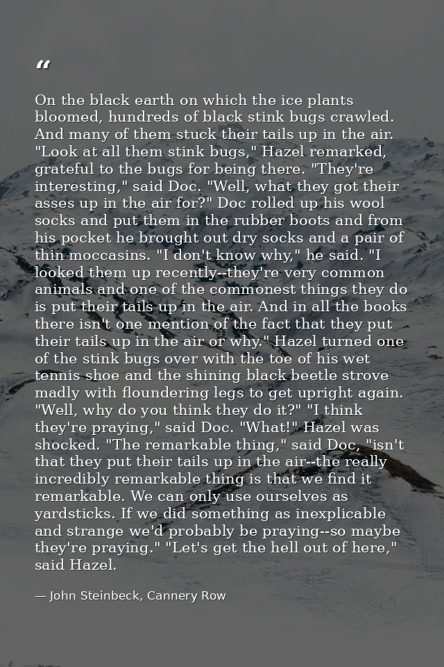 On the black earth on which the ice plants bloomed, hundreds of black stink bugs crawled. And many of them stuck their t — John Steinbeck, Cannery Row