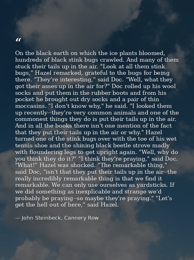 On the black earth on which the ice plants bloomed, hundreds of black stink bugs crawled. And many of them stuck their t — John Steinbeck, Cannery Row