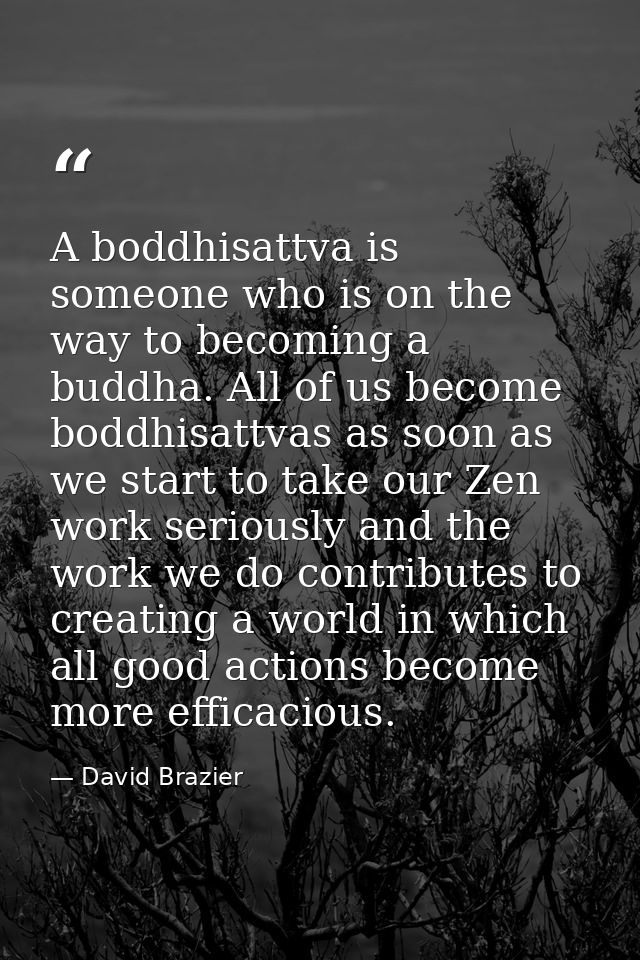 A boddhisattva is someone who is on the way to becoming a buddha. All of us become boddhisattvas as soon as we start to  — David Brazier