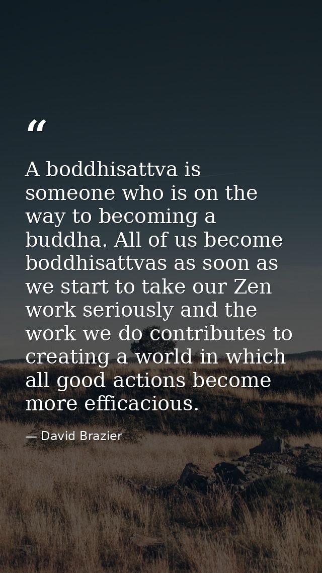A boddhisattva is someone who is on the way to becoming a buddha. All of us become boddhisattvas as soon as we start to  — David Brazier