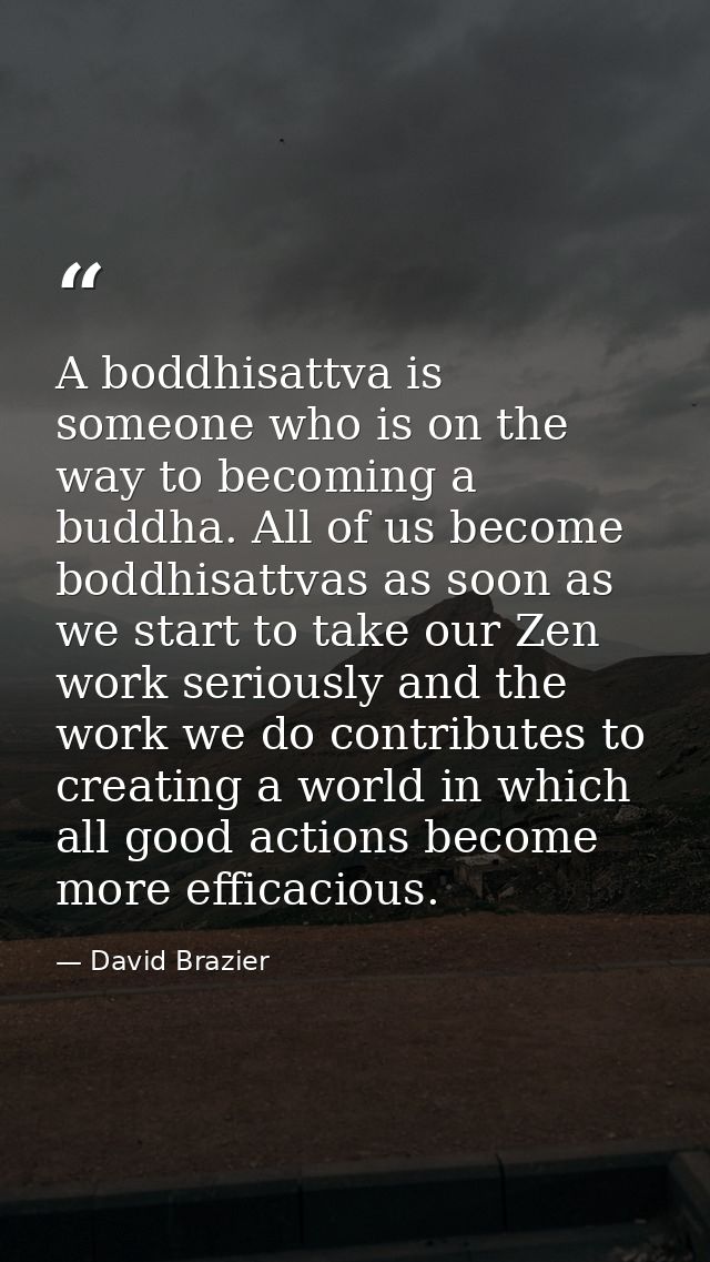 A boddhisattva is someone who is on the way to becoming a buddha. All of us become boddhisattvas as soon as we start to  — David Brazier