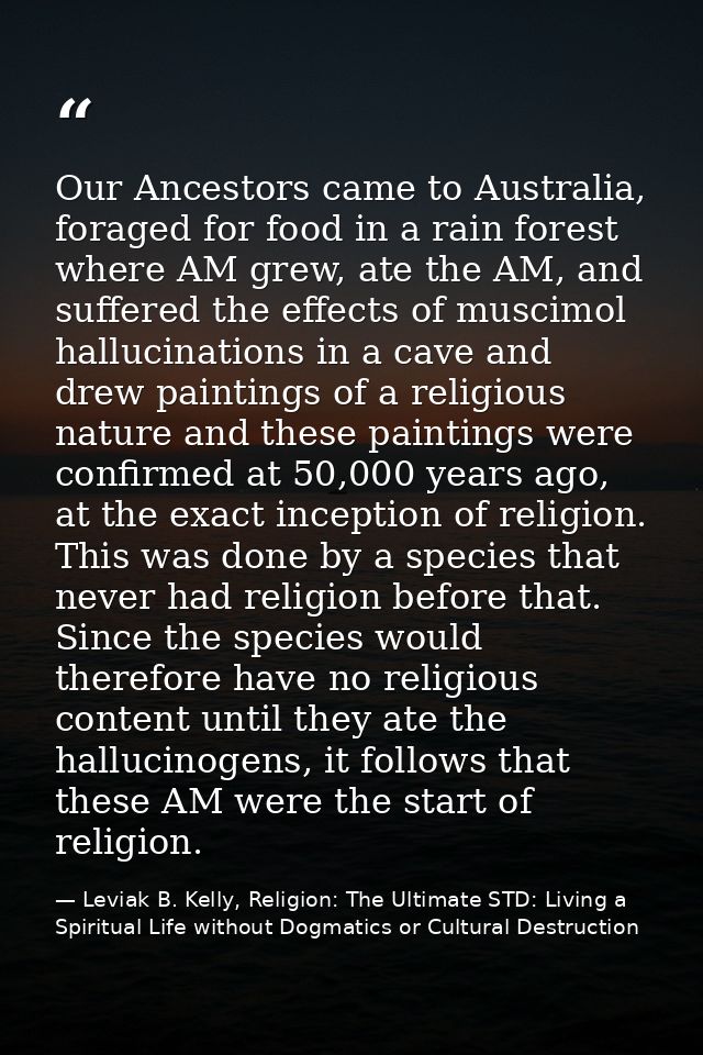 Our Ancestors came to Australia, foraged for food in a rain forest where AM grew, ate the AM, and suffered the effects o — Leviak B. Kelly, Religion: The Ultimate STD: Living a Spiritual Life without Dogmatics or Cultural Destruction