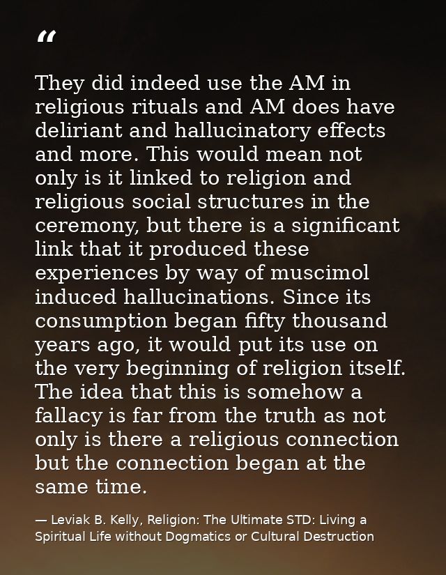 They did indeed use the AM in religious rituals and AM does have deliriant and hallucinatory effects and more. This woul — Leviak B. Kelly, Religion: The Ultimate STD: Living a Spiritual Life without Dogmatics or Cultural Destruction