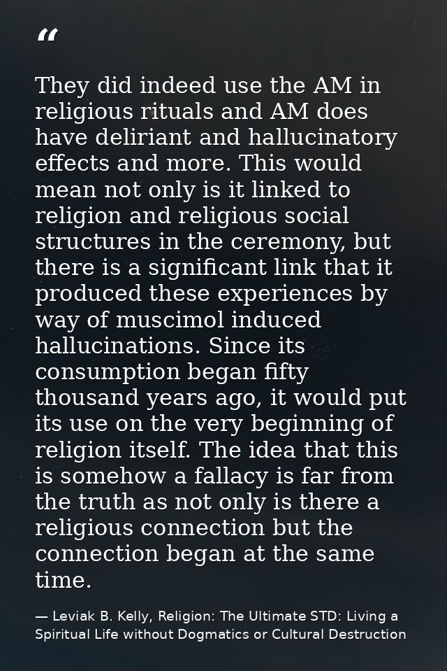 They did indeed use the AM in religious rituals and AM does have deliriant and hallucinatory effects and more. This woul — Leviak B. Kelly, Religion: The Ultimate STD: Living a Spiritual Life without Dogmatics or Cultural Destruction