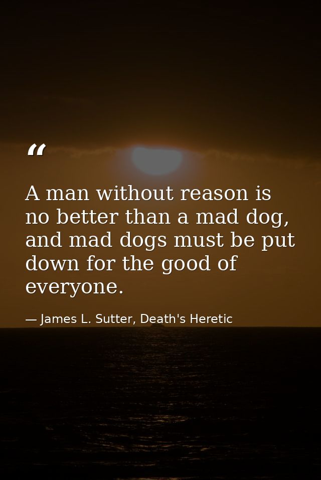 A man without reason is no better than a mad dog, and mad dogs must be put down for the good of everyone. — James L. Sutter, Death's Heretic