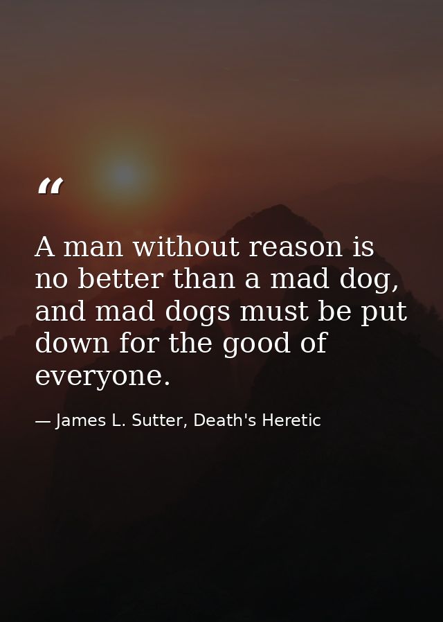 A man without reason is no better than a mad dog, and mad dogs must be put down for the good of everyone. — James L. Sutter, Death's Heretic