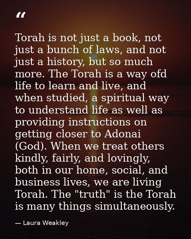 Torah is not just a book, not just a bunch of laws, and not just a history, but so much more. The Torah is a way ofd lif — Laura Weakley