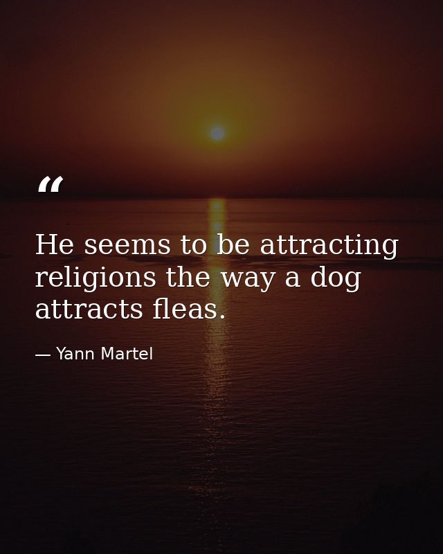 He seems to be attracting religions the way a dog attracts fleas. — Yann Martel