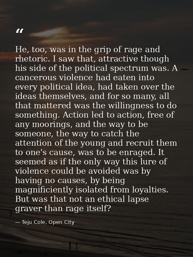 He, too, was in the grip of rage and rhetoric. I saw that, attractive though his side of the political spectrum was. A c — Teju Cole, Open City