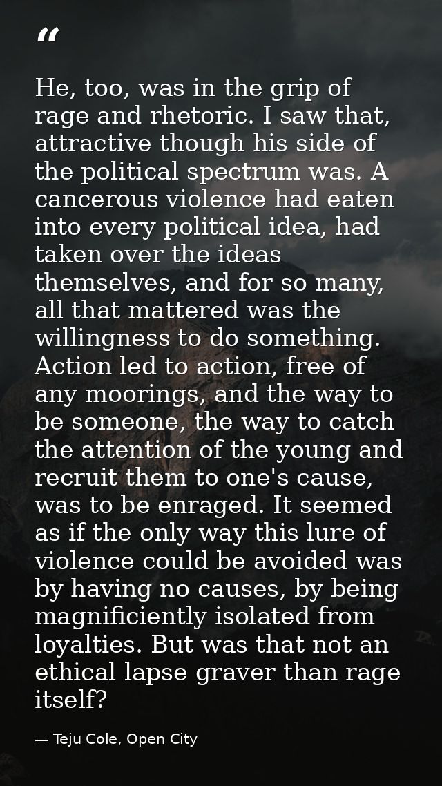 He, too, was in the grip of rage and rhetoric. I saw that, attractive though his side of the political spectrum was. A c — Teju Cole, Open City