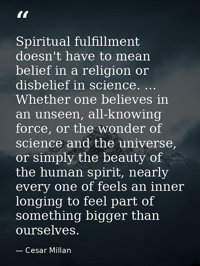 Spiritual fulfillment doesn't have to mean belief in a religion or disbelief in science. ... Whether one believes in an  — Cesar Millan
