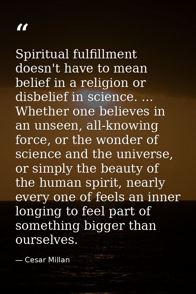 Spiritual fulfillment doesn't have to mean belief in a religion or disbelief in science. ... Whether one believes in an  — Cesar Millan
