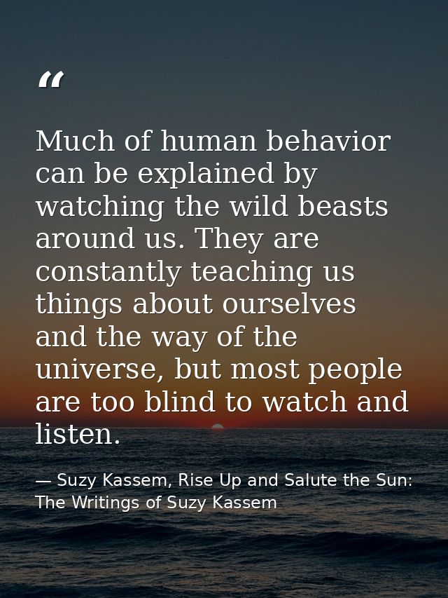 Much of human behavior can be explained by watching the wild beasts around us. They are constantly teaching us things ab — Suzy Kassem, Rise Up and Salute the Sun: The Writings of Suzy Kassem