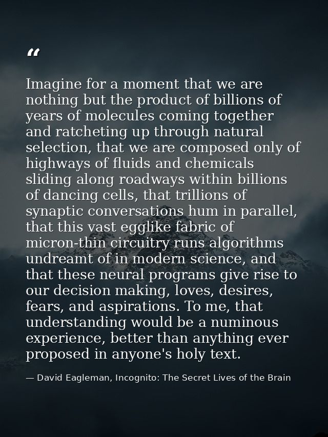 Imagine for a moment that we are nothing but the product of billions of years of molecules coming together and ratchetin — David Eagleman, Incognito: The Secret Lives of the Brain