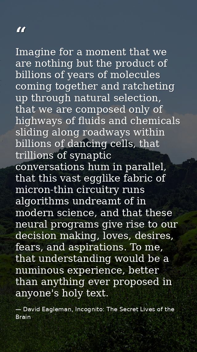 Imagine for a moment that we are nothing but the product of billions of years of molecules coming together and ratchetin — David Eagleman, Incognito: The Secret Lives of the Brain