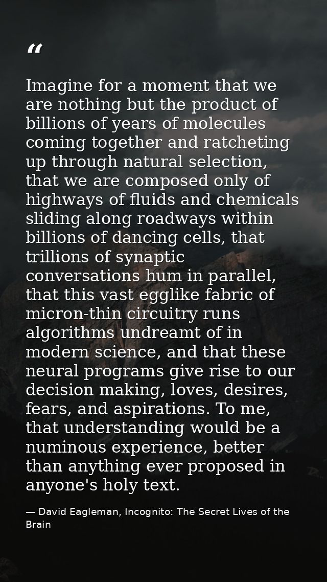 Imagine for a moment that we are nothing but the product of billions of years of molecules coming together and ratchetin — David Eagleman, Incognito: The Secret Lives of the Brain