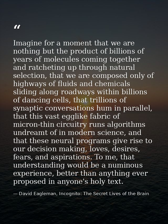 Imagine for a moment that we are nothing but the product of billions of years of molecules coming together and ratchetin — David Eagleman, Incognito: The Secret Lives of the Brain