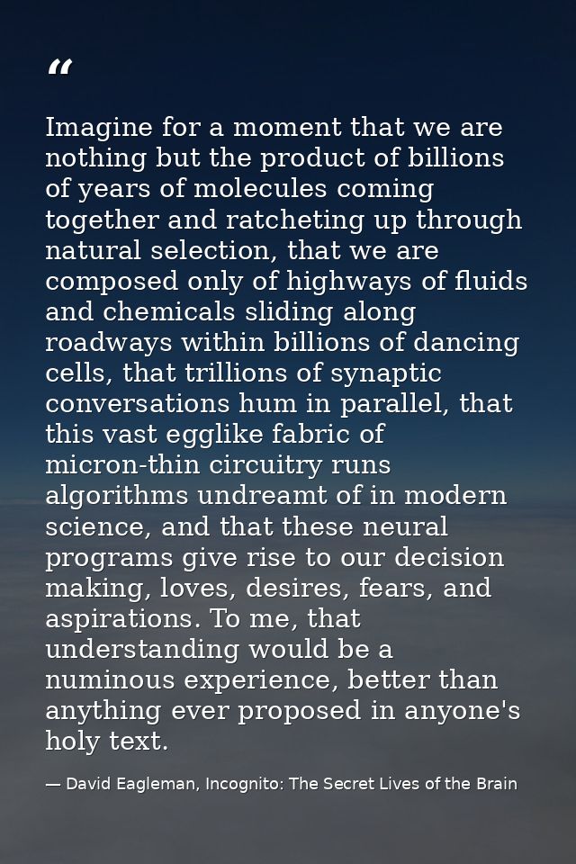 Imagine for a moment that we are nothing but the product of billions of years of molecules coming together and ratchetin — David Eagleman, Incognito: The Secret Lives of the Brain