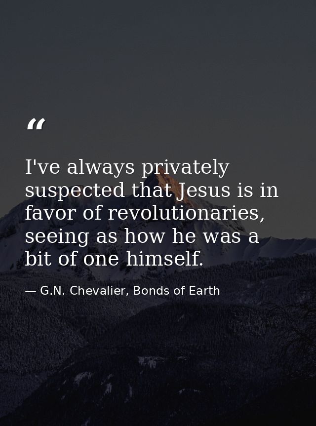 I've always privately suspected that Jesus is in favor of revolutionaries, seeing as how he was a bit of one himself. — G.N. Chevalier, Bonds of Earth