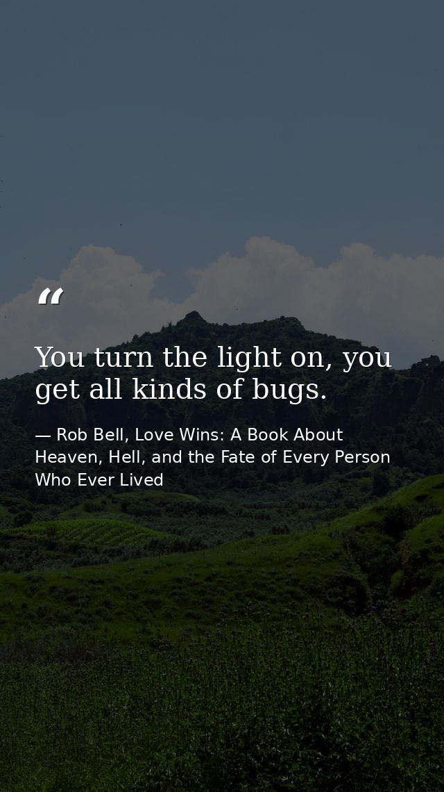 You turn the light on, you get all kinds of bugs. — Rob Bell, Love Wins: A Book About Heaven, Hell, and the Fate of Every Person Who Ever Lived