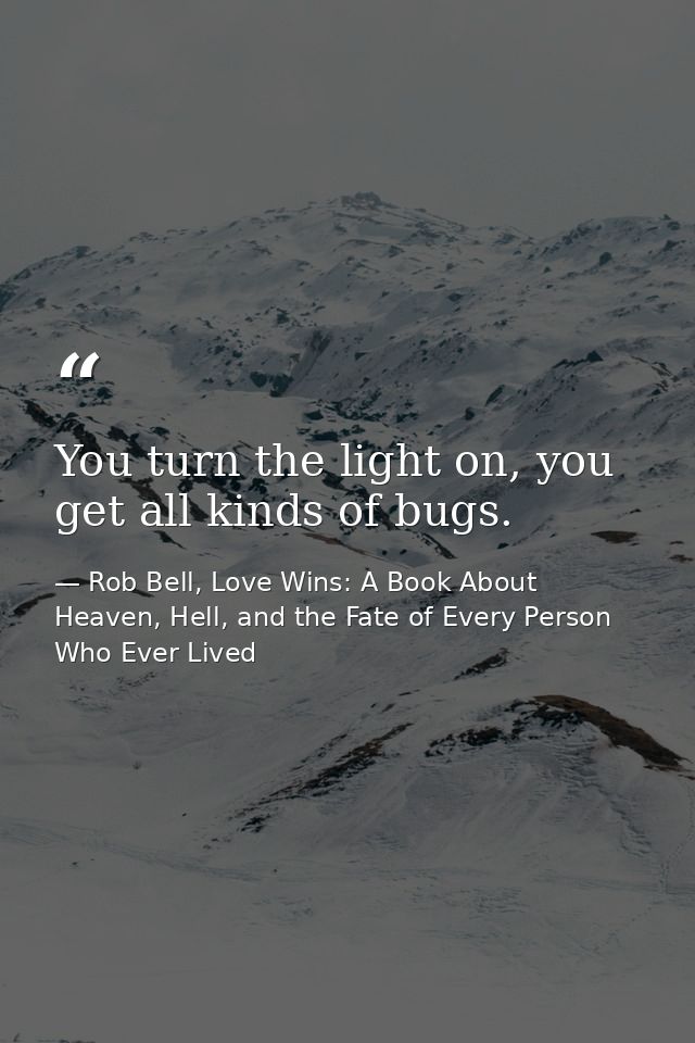 You turn the light on, you get all kinds of bugs. — Rob Bell, Love Wins: A Book About Heaven, Hell, and the Fate of Every Person Who Ever Lived