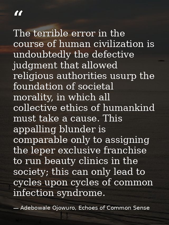 The terrible error in the course of human civilization is undoubtedly the defective judgment that allowed religious auth — Adebowale Ojowuro, Echoes of Common Sense