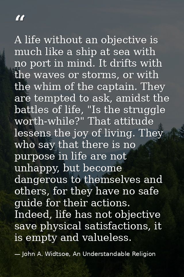A life without an objective is much like a ship at sea with no port in mind. It drifts with the waves or storms, or with — John A. Widtsoe, An Understandable Religion