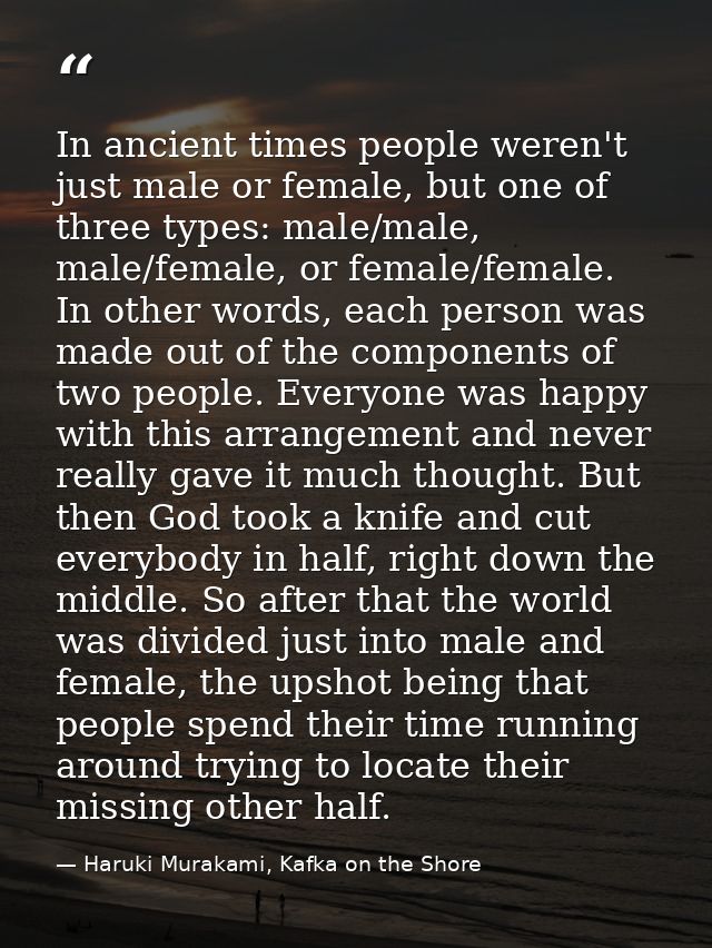 In ancient times people weren't just male or female, but one of three types: male/male, male/female, or female/female. I — Haruki Murakami, Kafka on the Shore