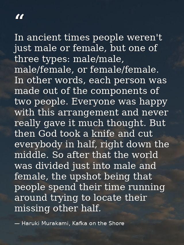 In ancient times people weren't just male or female, but one of three types: male/male, male/female, or female/female. I — Haruki Murakami, Kafka on the Shore
