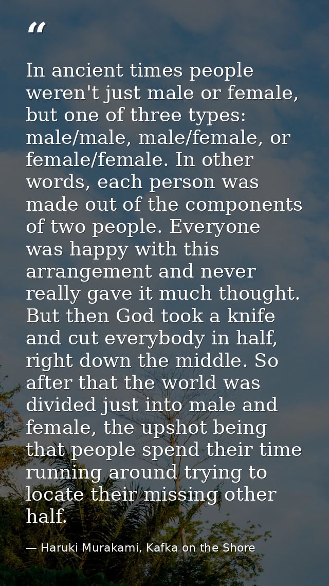 In ancient times people weren't just male or female, but one of three types: male/male, male/female, or female/female. I — Haruki Murakami, Kafka on the Shore
