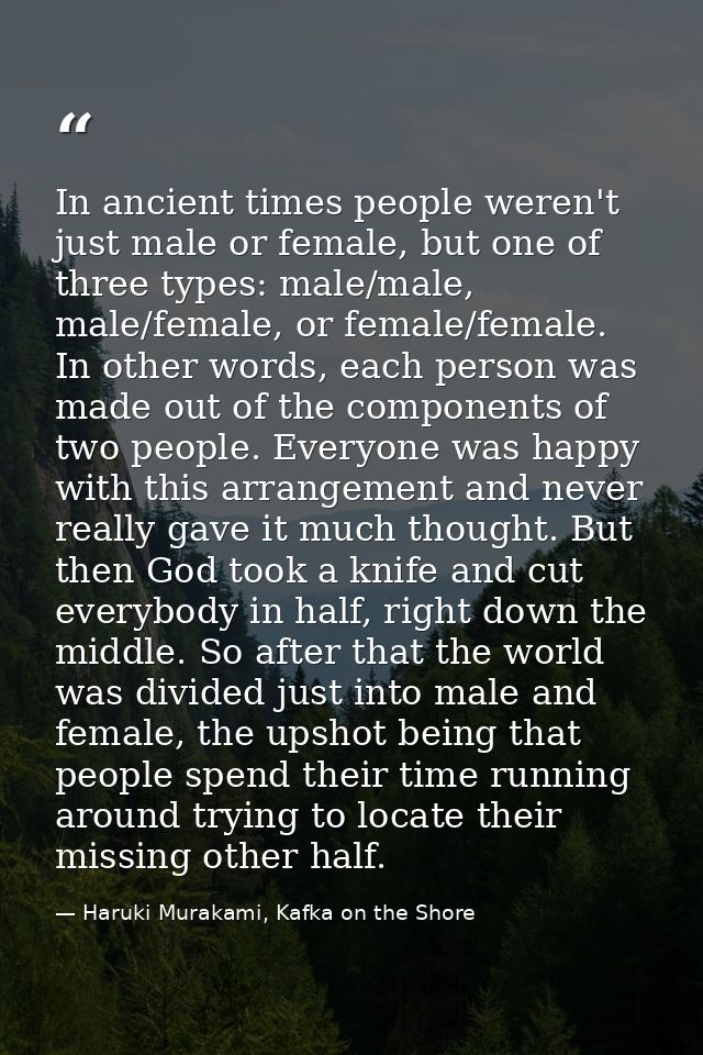 In ancient times people weren't just male or female, but one of three types: male/male, male/female, or female/female. I — Haruki Murakami, Kafka on the Shore
