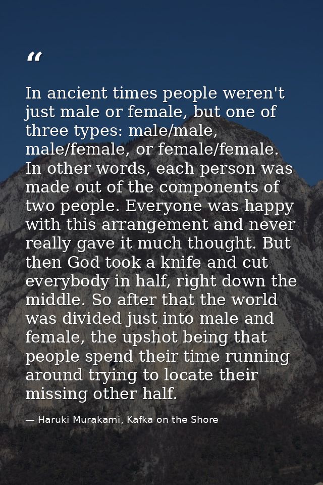 In ancient times people weren't just male or female, but one of three types: male/male, male/female, or female/female. I — Haruki Murakami, Kafka on the Shore