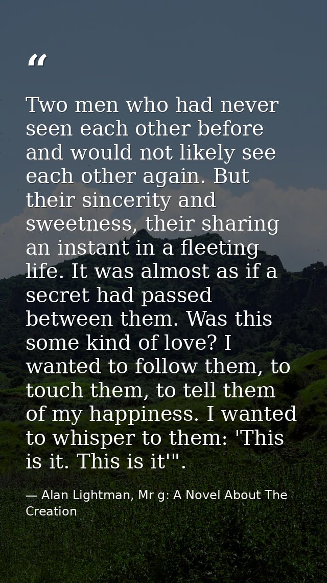 Two men who had never seen each other before and would not likely see each other again. But their sincerity and sweetnes — Alan Lightman, Mr g: A Novel About The Creation