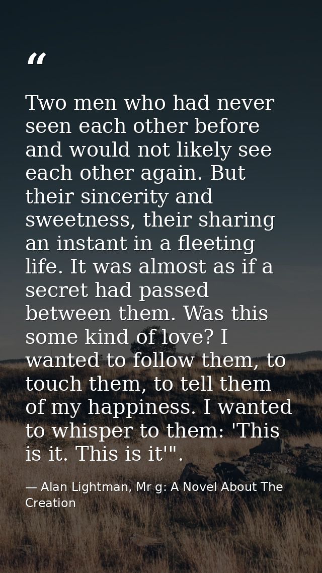 Two men who had never seen each other before and would not likely see each other again. But their sincerity and sweetnes — Alan Lightman, Mr g: A Novel About The Creation
