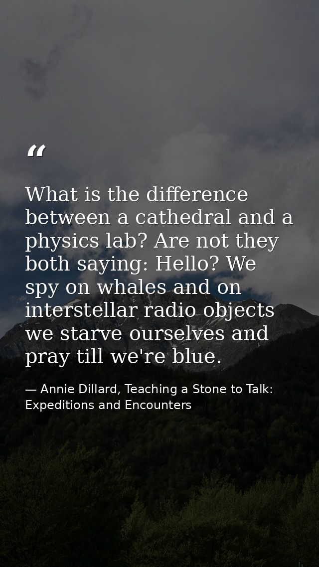 What is the difference between a cathedral and a physics lab? Are not they both saying: Hello? We spy on whales and on i — Annie Dillard, Teaching a Stone to Talk: Expeditions and Encounters