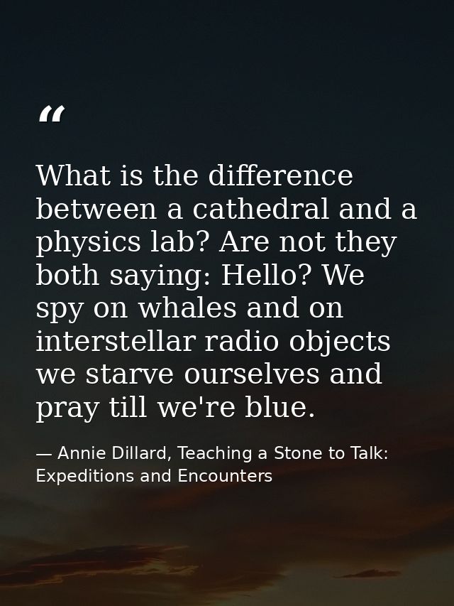 What is the difference between a cathedral and a physics lab? Are not they both saying: Hello? We spy on whales and on i — Annie Dillard, Teaching a Stone to Talk: Expeditions and Encounters