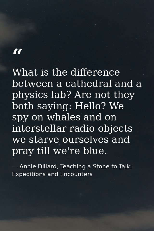 What is the difference between a cathedral and a physics lab? Are not they both saying: Hello? We spy on whales and on i — Annie Dillard, Teaching a Stone to Talk: Expeditions and Encounters