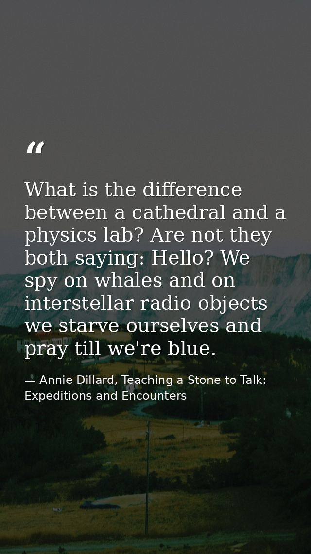 What is the difference between a cathedral and a physics lab? Are not they both saying: Hello? We spy on whales and on i — Annie Dillard, Teaching a Stone to Talk: Expeditions and Encounters