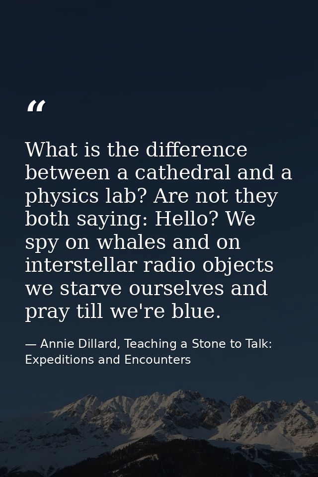 What is the difference between a cathedral and a physics lab? Are not they both saying: Hello? We spy on whales and on i — Annie Dillard, Teaching a Stone to Talk: Expeditions and Encounters