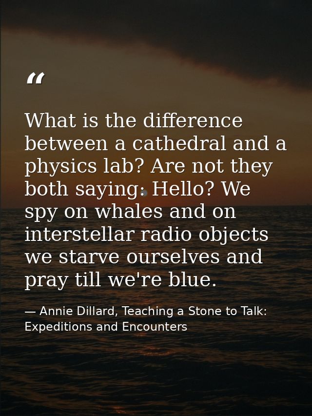 What is the difference between a cathedral and a physics lab? Are not they both saying: Hello? We spy on whales and on i — Annie Dillard, Teaching a Stone to Talk: Expeditions and Encounters