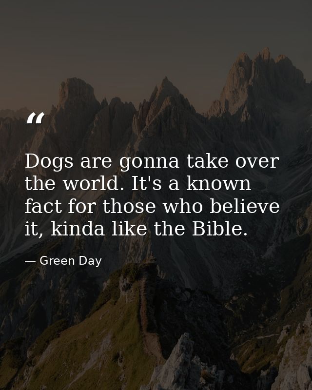 Dogs are gonna take over the world. It's a known fact for those who believe it, kinda like the Bible. — Green Day