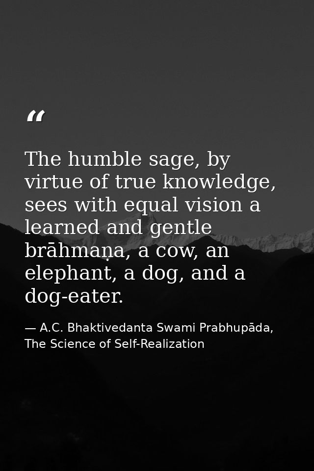 The humble sage, by virtue of true knowledge, sees with equal vision a learned and gentle brāhmaṇa, a cow, an elephant,  — A.C. Bhaktivedanta Swami Prabhupāda, The Science of Self-Realization
