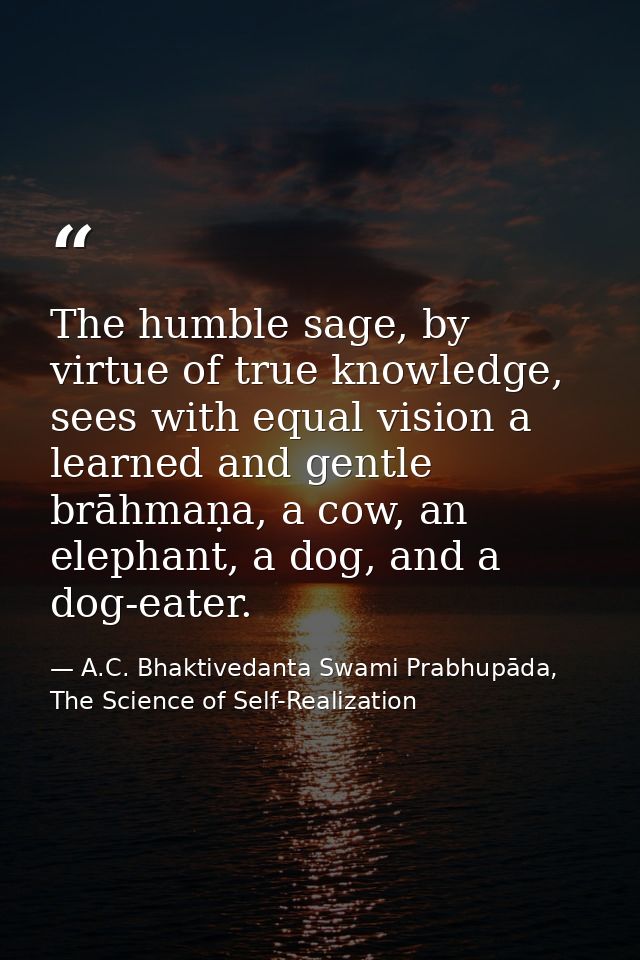 The humble sage, by virtue of true knowledge, sees with equal vision a learned and gentle brāhmaṇa, a cow, an elephant,  — A.C. Bhaktivedanta Swami Prabhupāda, The Science of Self-Realization