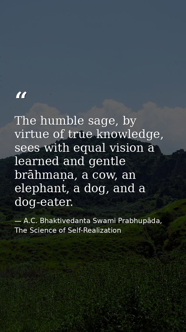The humble sage, by virtue of true knowledge, sees with equal vision a learned and gentle brāhmaṇa, a cow, an elephant,  — A.C. Bhaktivedanta Swami Prabhupāda, The Science of Self-Realization
