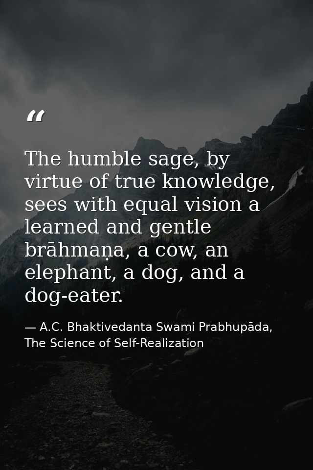 The humble sage, by virtue of true knowledge, sees with equal vision a learned and gentle brāhmaṇa, a cow, an elephant,  — A.C. Bhaktivedanta Swami Prabhupāda, The Science of Self-Realization