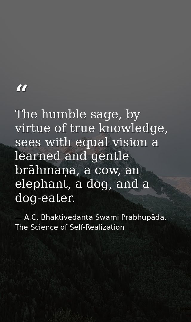 The humble sage, by virtue of true knowledge, sees with equal vision a learned and gentle brāhmaṇa, a cow, an elephant,  — A.C. Bhaktivedanta Swami Prabhupāda, The Science of Self-Realization
