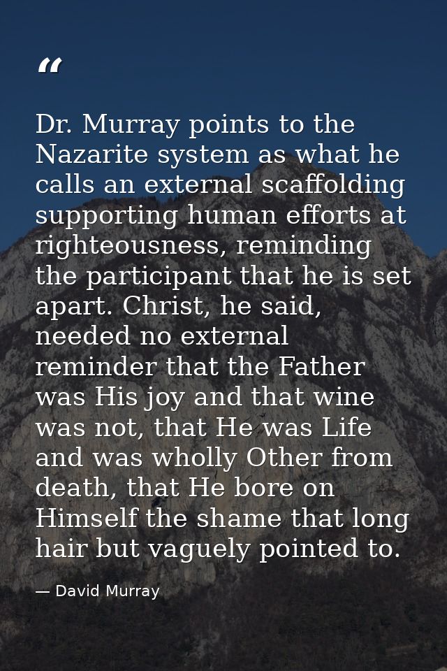 Dr. Murray points to the Nazarite system as what he calls an external scaffolding supporting human efforts at righteousn — David Murray