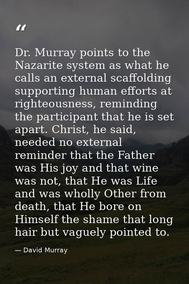 Dr. Murray points to the Nazarite system as what he calls an external scaffolding supporting human efforts at righteousn — David Murray